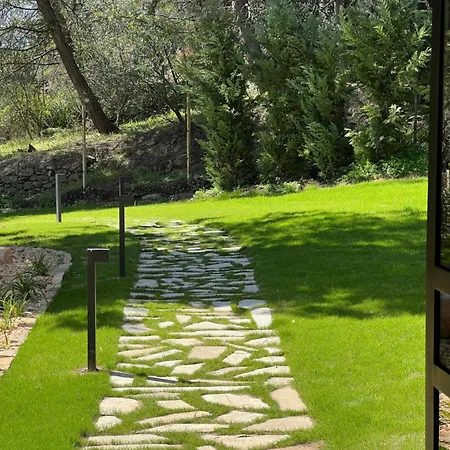B&B Maison Joyeusete, Cite De Carcassonne 7 Min, Piscine 20m Chauffee Toute L'annee, Clim, Parking 4*